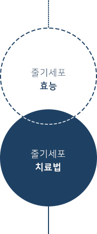 위 : 줄기세포 효능, 아래 : 줄기세포 치료법